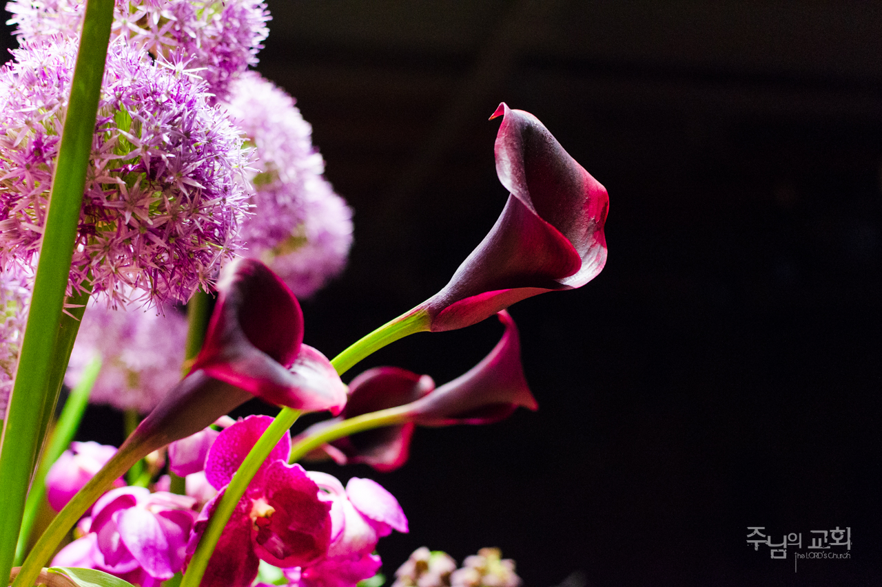 An Offering Flowers